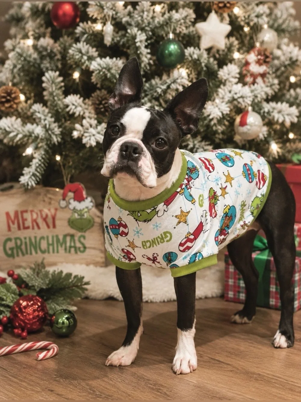 NWT Grinch Christmas Dog Shirt | Holiday Dog Tee Size: Medium | Pet Apperal